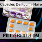 Black Ant Capsules new12